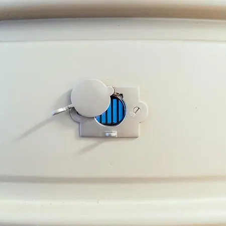 Apartament Bordallo's Prime *