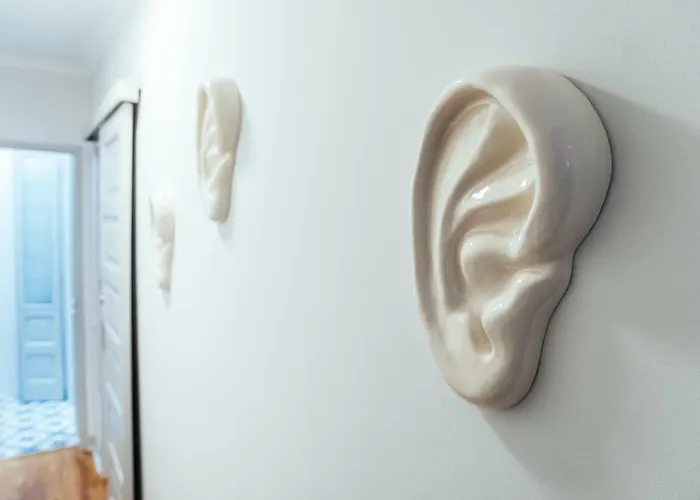 Bordallo's Prime Калдаш-да-Раинья